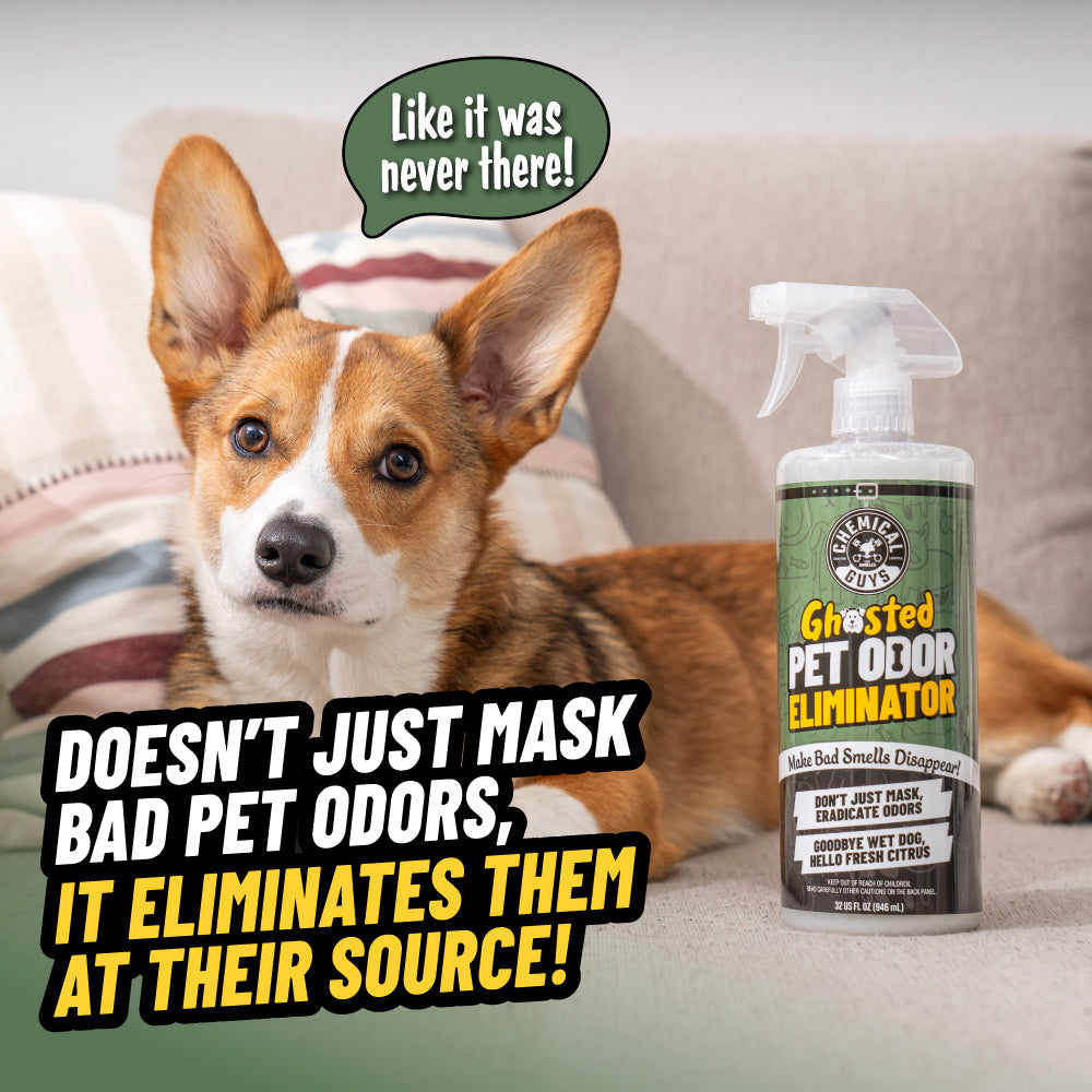 chemical-guys-ghosted-d-sodorisant-auto-anti-odeur-animale-946-ml image 2