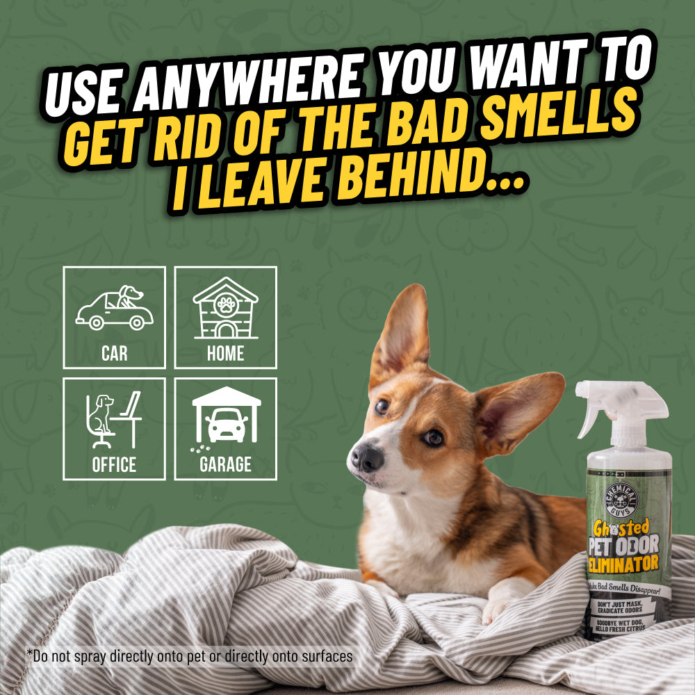 chemical-guys-ghosted-d-sodorisant-auto-anti-odeur-animale-946-ml image 5