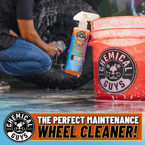 chemical-guys-mr-pink-foam-party-kit-lavage-auto-16-oz-canon-mousse image 8
